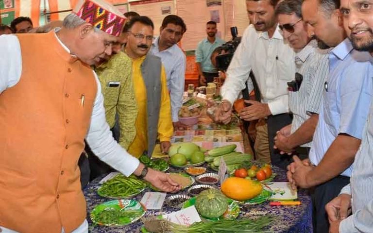 Vegetable Excellence Centers