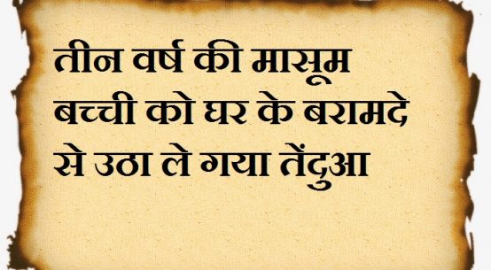 तीन वर्ष की मासूम बच्ची को घर के बरामदे से उठा ले गया तेंदुआ