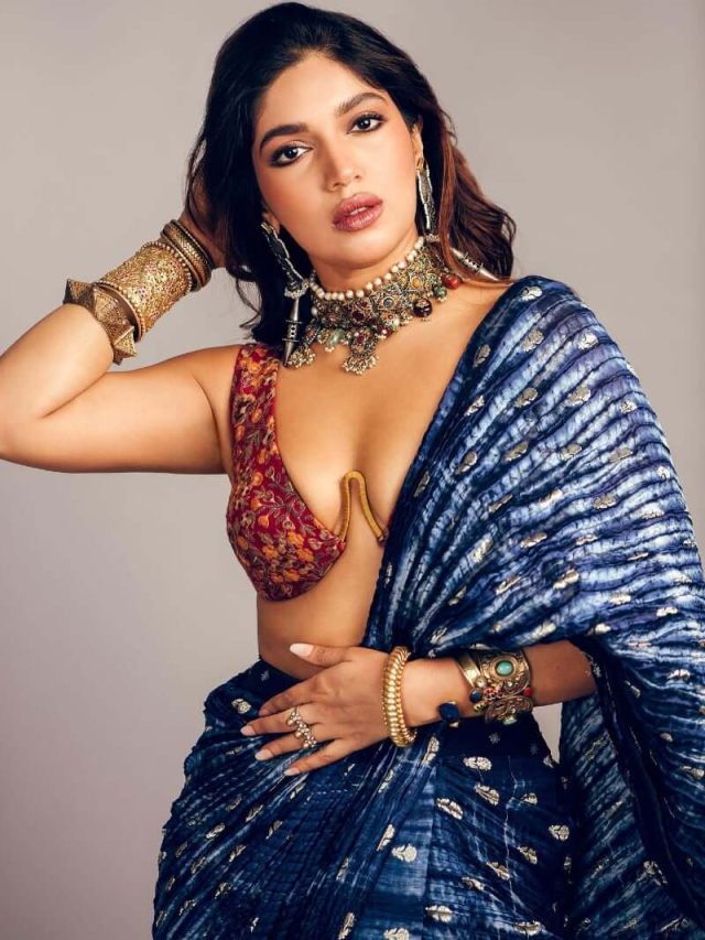 Bhumi raised the internet in sexy saree look