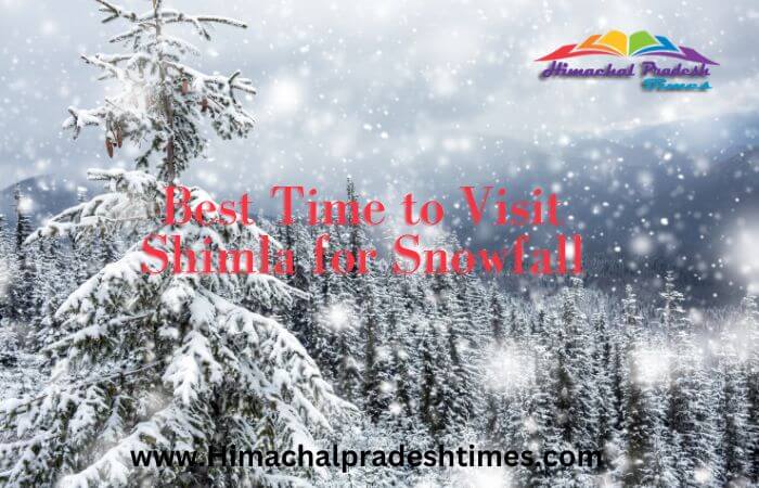 Best Time to Visit Shimla for Snowfall