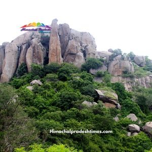 Tourist Places near Bangalore within 100 Km