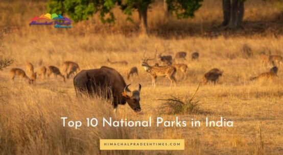 Top 10 National Parks in India