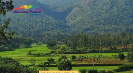 Kolli Hills tourist places