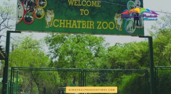 Zoo in Chandigarh