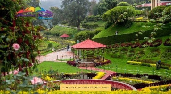 Places to Visit in Ooty