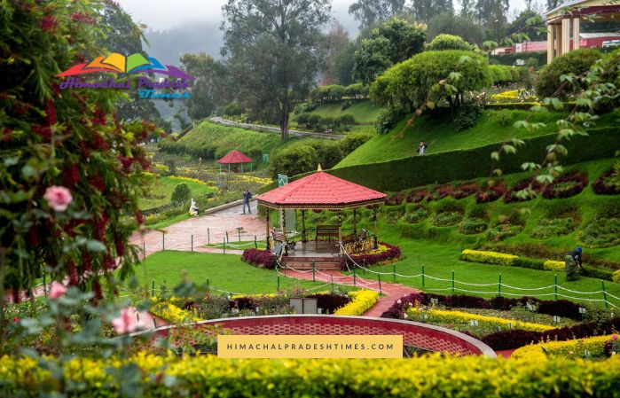 Places to Visit in Ooty