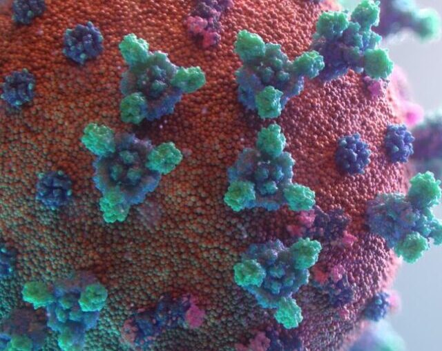 Viruses Different from Bacteria apex
