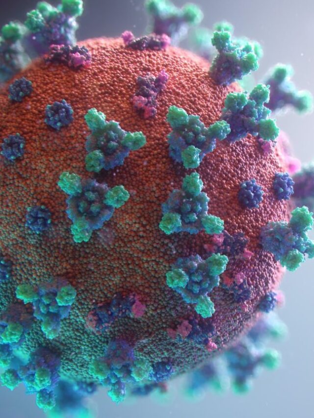 How are Viruses Different from Bacteria apex