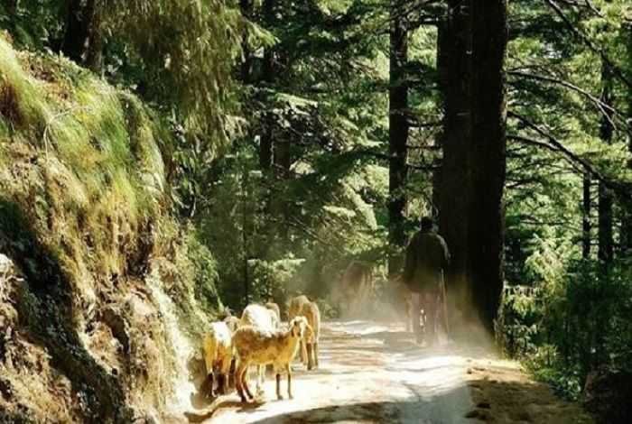Kalatop Wildlife Sanctuary