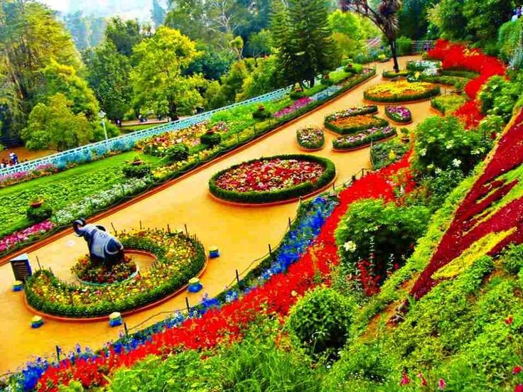 Zakir Hussain Rose Garden