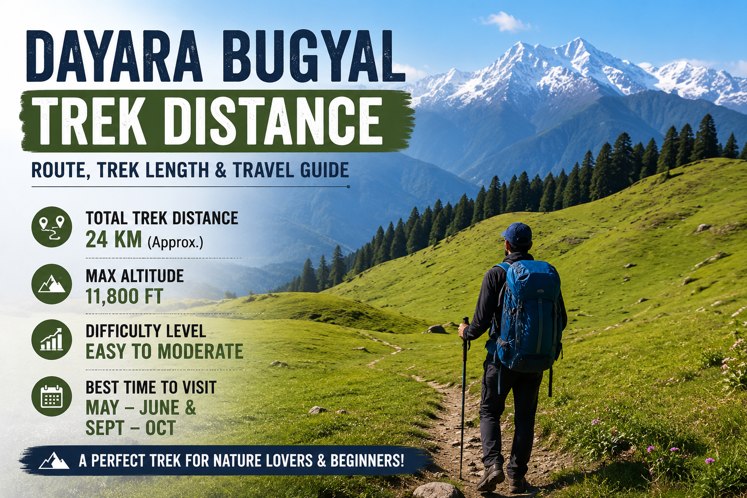 Dayara Bugyal Trek Distance, Route, Best Time, Cost & Complete Travel Guide