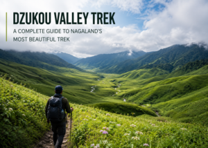 dzukou valley trek